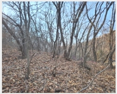  2025Ÿ��764 ��� ���ֽ� ���� Ȳ�渮 ��6      ����(�Ӿ�)���