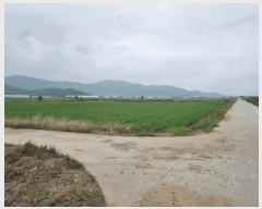  2025Ÿ��1392  ����