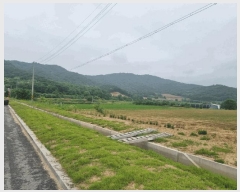  2025Ÿ��1392  ����