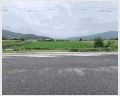  2025Ÿ��1392  ����