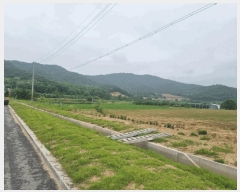  2025Ÿ��1392  ����