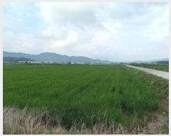  2025Ÿ��1392  ����