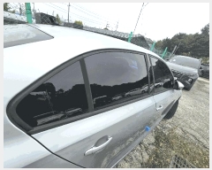  2025Ÿ��1798 ���ֽ� ���浿 538 ���ܸ������� ��      �������