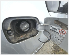  2025Ÿ��1798 ���ֽ� ���浿 538 ���ܸ������� ��      �������