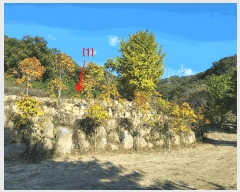  2025Ÿ��4889 ��� ��õ�� ������ ���ĸ� 27      ����(��1)���