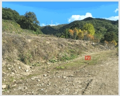  2025Ÿ��4889 ��� ��õ�� ������ ���ĸ� 27      ����(��1)���