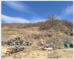  2025Ÿ��4889 ��� ��õ�� ������ ���ĸ� 27      ����(��1)���