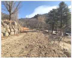  2025Ÿ��4889 ��� ��õ�� ������ ���ĸ� 27      ����(��1)���