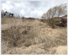  2025Ÿ��71553 ��� ����õ�� ž���� 747       ����(��1)���