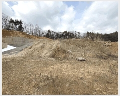  2025Ÿ��71553 ��� ����õ�� ž���� 747       ����(��1)���