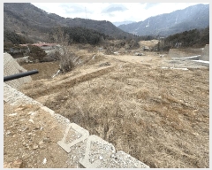  2025Ÿ��71553 ��� ����õ�� ž���� 747       ����(��1)���