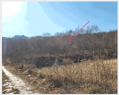  2025Ÿ��71574 ���� ö���� �ٺϸ� ��� 683-1      ����(��1)���