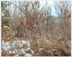  2025Ÿ��71574 ���� ö���� �ٺϸ� ��� 683-1      ����(��1)���