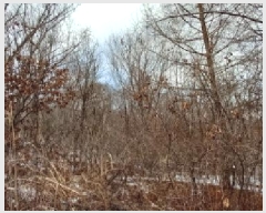  2025Ÿ��71574 ���� ö���� �ٺϸ� ��� 683-1      ����(��1)���