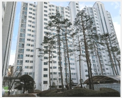  2025Ÿ��71663 ��� �����ν� �Ű 393-11 �������ؾ��̾���Ʈ 106�� 5��504ȣ    ����Ʈ���