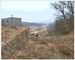  2025Ÿ��71729  ������