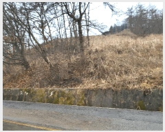  2025Ÿ��71729  ������