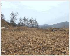  2025Ÿ��71729  ������