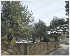  2025Ÿ��71782  ���ð��