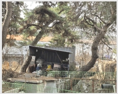  2025Ÿ��71782  ���ð��