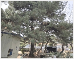  2025Ÿ��71782  ���ð��