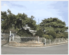  2025Ÿ��71782  ���ð��