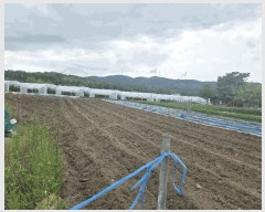  2025Ÿ��72198  �����