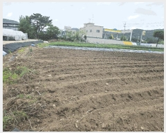  2025Ÿ��72198  �����