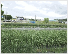  2025Ÿ��72198  �����