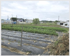  2025Ÿ��72198  �����