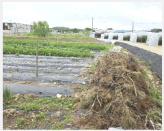  2025Ÿ��72198  �����