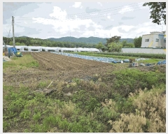  2025Ÿ��72198  �����