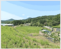  2025Ÿ��72275 ��� ���ֽ� ������ ���ϸ� 239-3      ����(��1)���