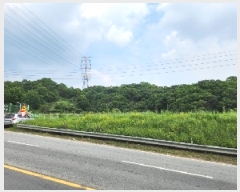  2025Ÿ��72275 ��� ���ֽ� ������ ���ϸ� 239-3      ����(��1)���