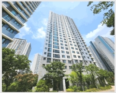  2025Ÿ��72451  ����Ʈ���