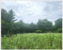  2025Ÿ��72545 ���� ö���� ������ ��븮 355-4      ����(��1)���