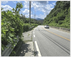  2025Ÿ��72772  ����