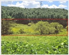  2025Ÿ��72772  ����