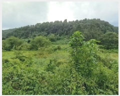  2025Ÿ��72772  ����