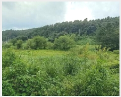  2025Ÿ��72772  ����