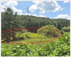  2025Ÿ��72772  ����