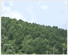  2025Ÿ��72924 ��� ��õ�� ���̸� ���� ��34-2      ����(�Ӿ�)���