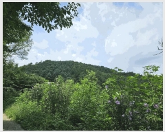  2025Ÿ��72924 ��� ��õ�� ���̸� ���� ��34-2      ����(�Ӿ�)���