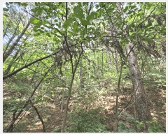  2025Ÿ��72924 ��� ��õ�� ���̸� ���� ��34-2      ����(�Ӿ�)���