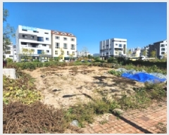  2025Ÿ��73331  �������