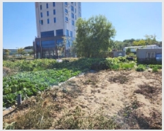  2025Ÿ��73331  �������