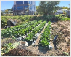  2025Ÿ��73331  �������