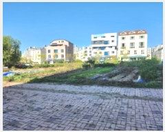  2025Ÿ��73331  �������