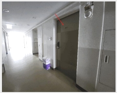  2025Ÿ��73345 ��� �����ν� �����ε� 487-4 ���ؿ��׶� 19�� 1911ȣ    ����Ʈ���