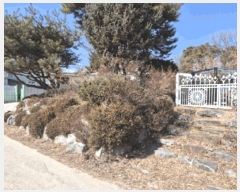  2025Ÿ481  ֽ  338-26       â